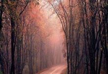 图片报：诺伊尔是同个部位加重受伤，若无奇迹将.