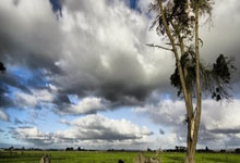 中国长春净月潭瓦萨国际滑雪节增设三个新项目中国新闻网.