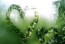 “江苏省体育产业发展:赛事带动消费,促进经济社会发展”.