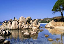 开云体育：专家热议如何加强青少年科学健身普及和健康干预.